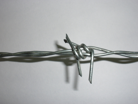 2 strand Galvanized Iron Wire