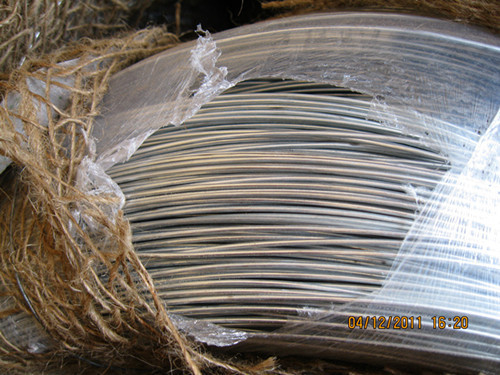 Electro Silver Galvanized Steel Iron Wire Bwg24 High Carbon Steel Wire