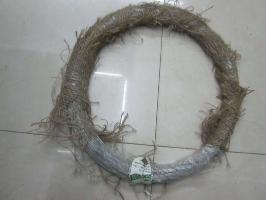 Electro Glavanized wire BWG22,Electro Galvanized Iron Wire